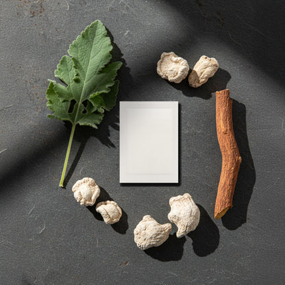 KUBOZN® Targeted Lung Cleansing Patch